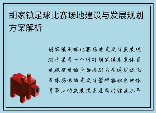 胡家镇足球比赛场地建设与发展规划方案解析